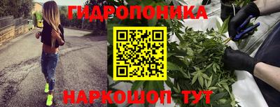 молекула духа Шахты