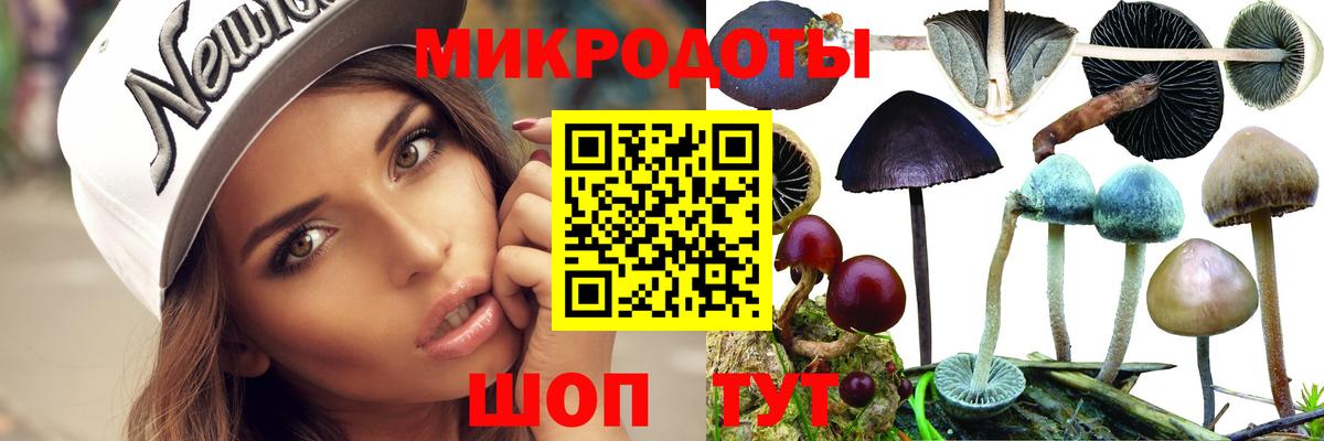 Псилоцибиновые грибы мицелий  Галлюциногенные грибы мицелий  Вход с VPN  Ленинск-Кузнецкий 